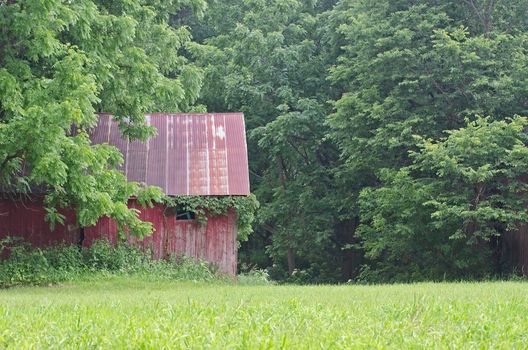 It is an old shed that once was important part of farm that shows the passing of time.