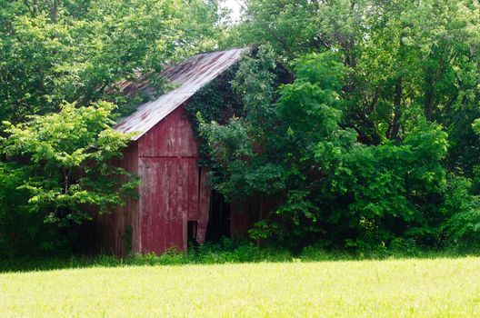 This old time shed shows it's age with the rusty roof and the weathered red paint.