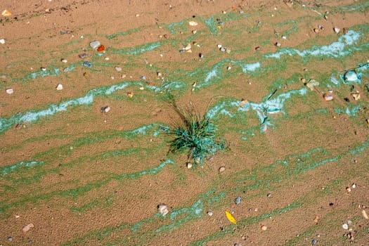 Sandy texture.Background of wet river sand with turquoise stripes of foam.The concept of the environment.