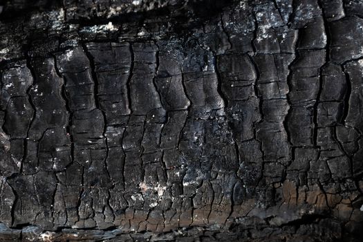 The texture of burnt wood, charcoal. Abstract background of burnt wood.