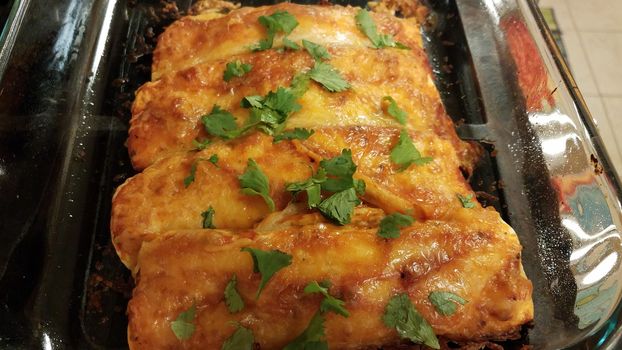 cheesy enchiladas with tortillas with cilantro in glass container on stove