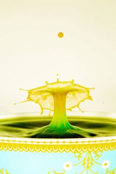 A green and yellow umbrella shape water drop in a decorated dish and isolated against a white background