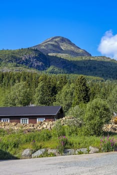 Brown beautiful cabin hut with mountain panorama in Hemsedal, Viken, Norway.