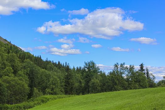 Beautiful Norwegian landscape with trees firs mountains and rocks. Norway Nature.