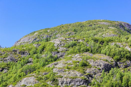 Beautiful Norwegian landscape with trees firs mountains and rocks. Norway Nature.