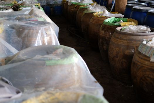Pickled Green Chinese Cabbage fermented in jar in factory. Chinese Traditional Food