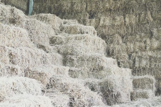 pile heap of rice straw hay in farm farmland