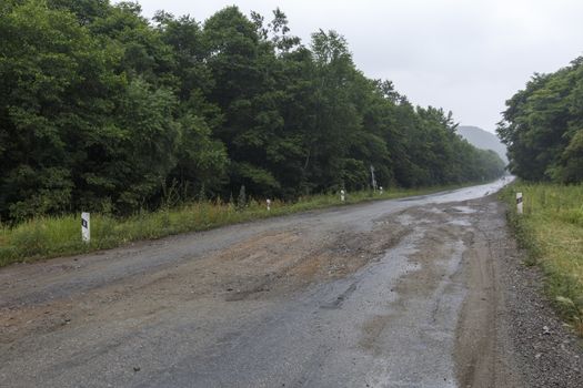 Very bad road in Russia. The asphalt road is all in holes in the middle of the forest