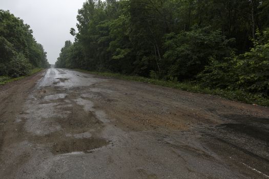 Very bad road in Russia. The asphalt road is all in holes in the middle of the forest