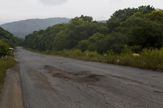 Very bad road in Russia. The asphalt road is all in holes in the middle of the forest