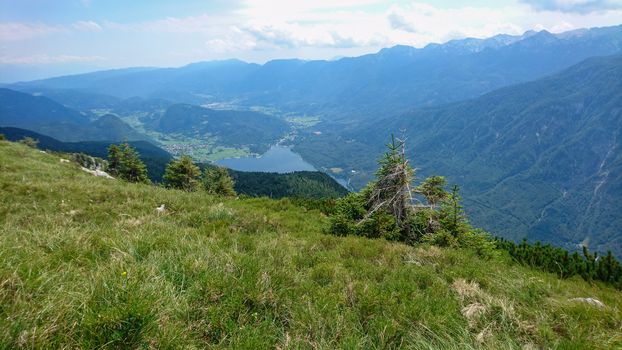 Aerial and high angle view on Bohinjsko jezero, Lake Bohinj and Stara Fuzina. Landscape, travel and tourism.