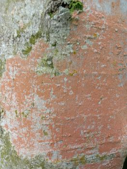 wooden texture background on saw mill