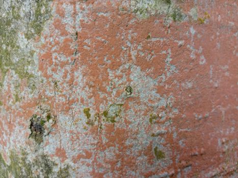 wooden texture background on saw mill