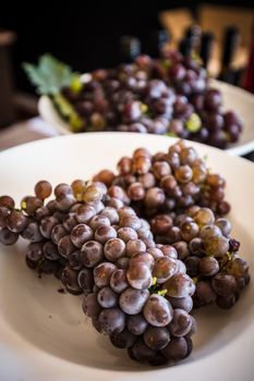 Wine grapes fresh off the vine available for tasting in the Mornington Peninsula, Victoria, Australia