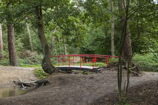 and walking path and typical red japanese bridge in garden with forest trees and plants and sand at the border of small water