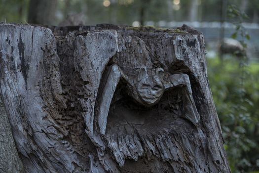 a bat cut into a tree trunk in the forest