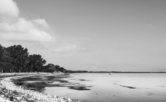 Trasimeno Lake during low tide beautiful lakeshore with trees ,black and white photography