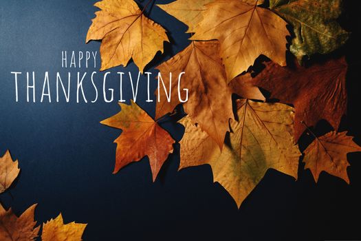 Happy Thanksgiving Day with Maple leave and text