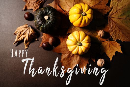 Happy Thanksgiving Day with pumpkin and maple leaves