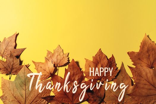 Happy Thanksgiving Day with Maple leave and text
