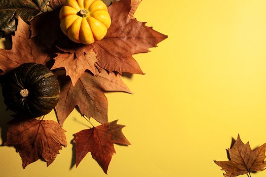 Happy Thanksgiving Day with maple leaves and pumpkin on yellow background
