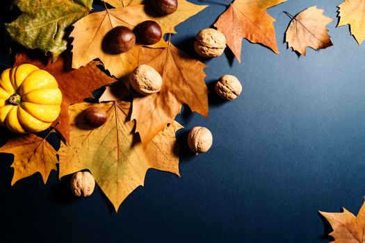 Thanksgiving Day with maple leaves, nut and pumpkin