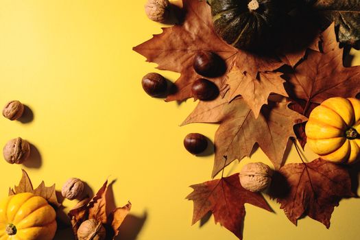 Happy Thanksgiving Day with maple leaves, nut and pumpkin on yellow background
