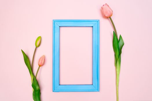 Flowers composition. tulip flowers with blue photo frame on pink background. Flat lay, top view, copy space
