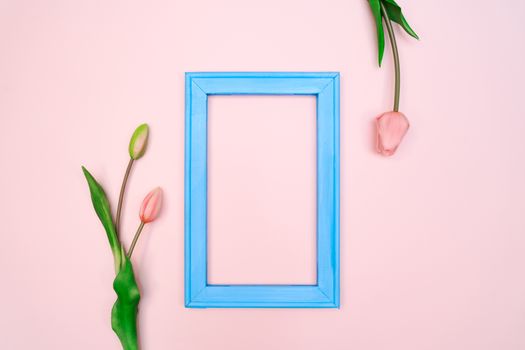 Flowers composition. tulip flowers with blue photo frame on pink background. Flat lay, top view, copy space