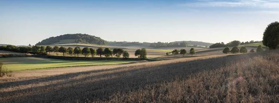 rural landscape of countryside with cornfields and meadows in regional parc de caps et marais d'opale in the north of france