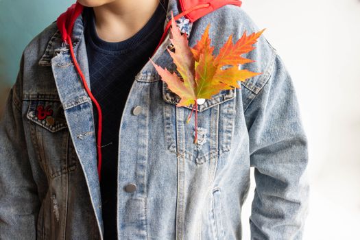 Beautiful multi-colored autumn maple leaves on the flap of a denim jacket.