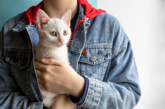 Little white kitten warms up in her arms