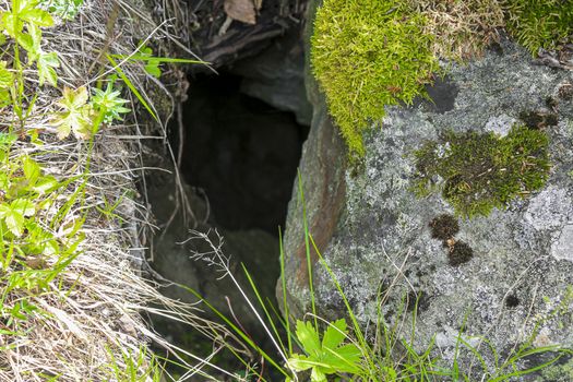 Hole in the rock between stones with moss in Hemsedal, Norway.