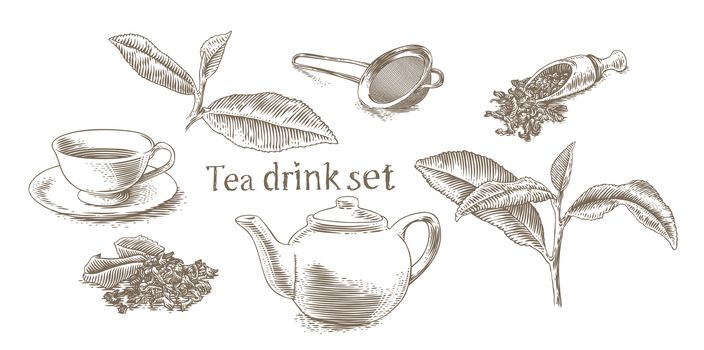 Set of pictures about tea drink (cup, teapot, branch)