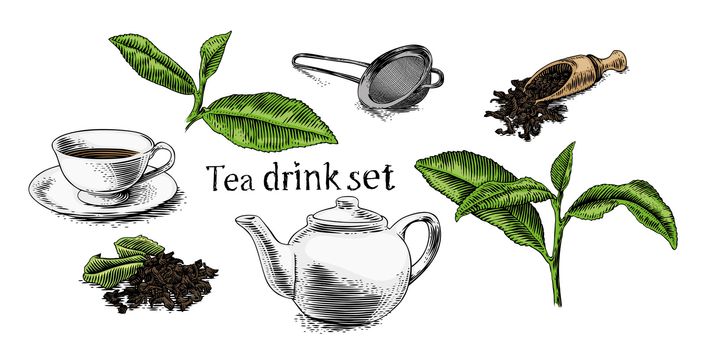 Set of pictures about tea drink (cup, teapot, branch)