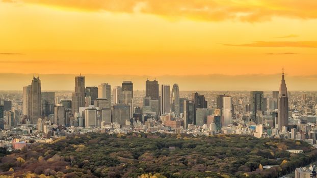 Top view of Tokyo city skyline (Shinjuku area) at sunset in Japan.

