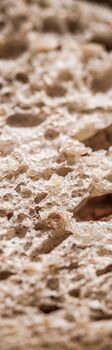 Fresh whole grain seeded bread, organic wheat flour, closeup slice texture as background for food blog or cook book recipes