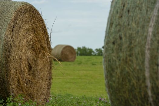 Beautiful landscape with straw bales in end of summer