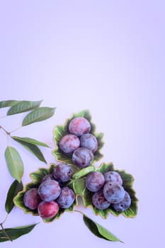 In a ceramic dish are large ripe plums. Presented in close-up on a lilac background. The view from the top, flat position, copy space