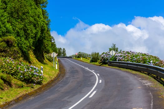 road surrounded by green vegetation on Sao Miguel Island, Azores, Portugal