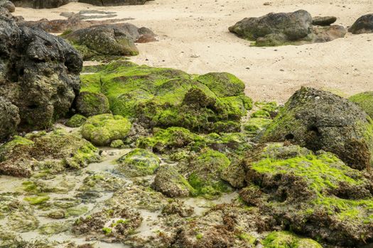 A beautiful view across a natural beach setting during low tide with exposure of algae and sand surrounded by large stones.