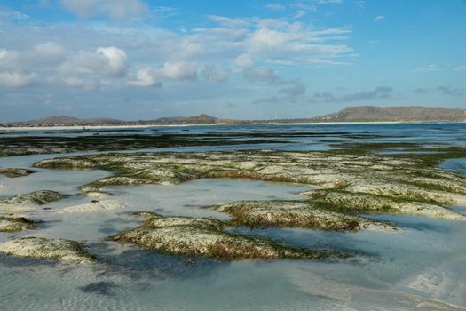 Sea during low tide creating puddles in Tanjung Aan, LOmbok, Indonesia. Small lakes between sandy islands.