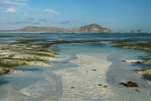 View of Tanjung Aan beach during low tide. Beautiful scenery of a sea bay with shallow water. Seaweed covered sand dunes rise above the ocean.