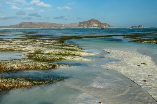 View of Tanjung Aan beach during low tide. Beautiful scenery of a sea bay with shallow water. Seaweed covered sand dunes rise above the ocean.