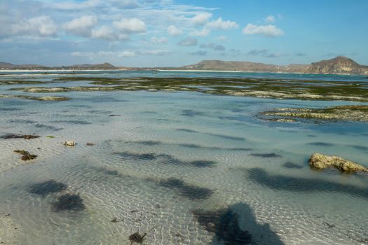 View of Tanjung Aan beach during low tide. Beautiful scenery of a sea bay with shallow water. Seaweed covered sand dunes rise above the ocean.