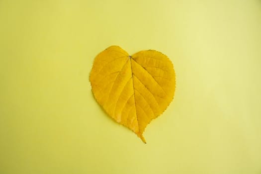 Yellow autumn leaf in the shape of a heart lies on a yellow background.