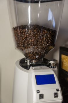 hopper for professional bar coffee with coffee beans inside