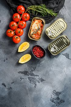 Tin can of mackerel, Scombridae opened and closed cans no label, with organic vegetables herbs and lemons top view space for text or price vertical.