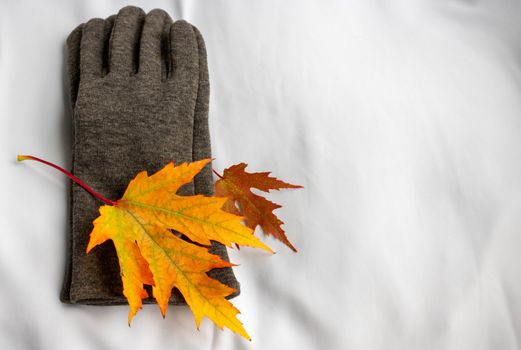 Grey gloves with maple leaves on a white background, isolated. The concept of autumn.