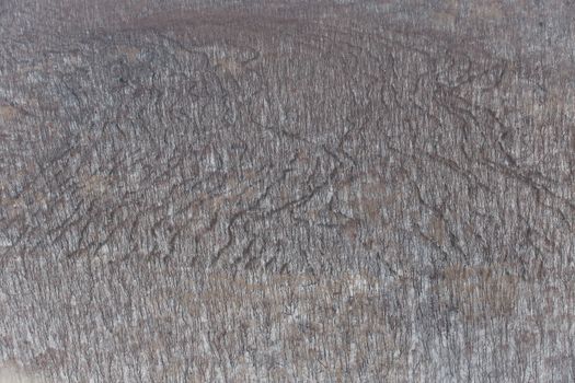 Winter coniferous forest, captured from a helicopter